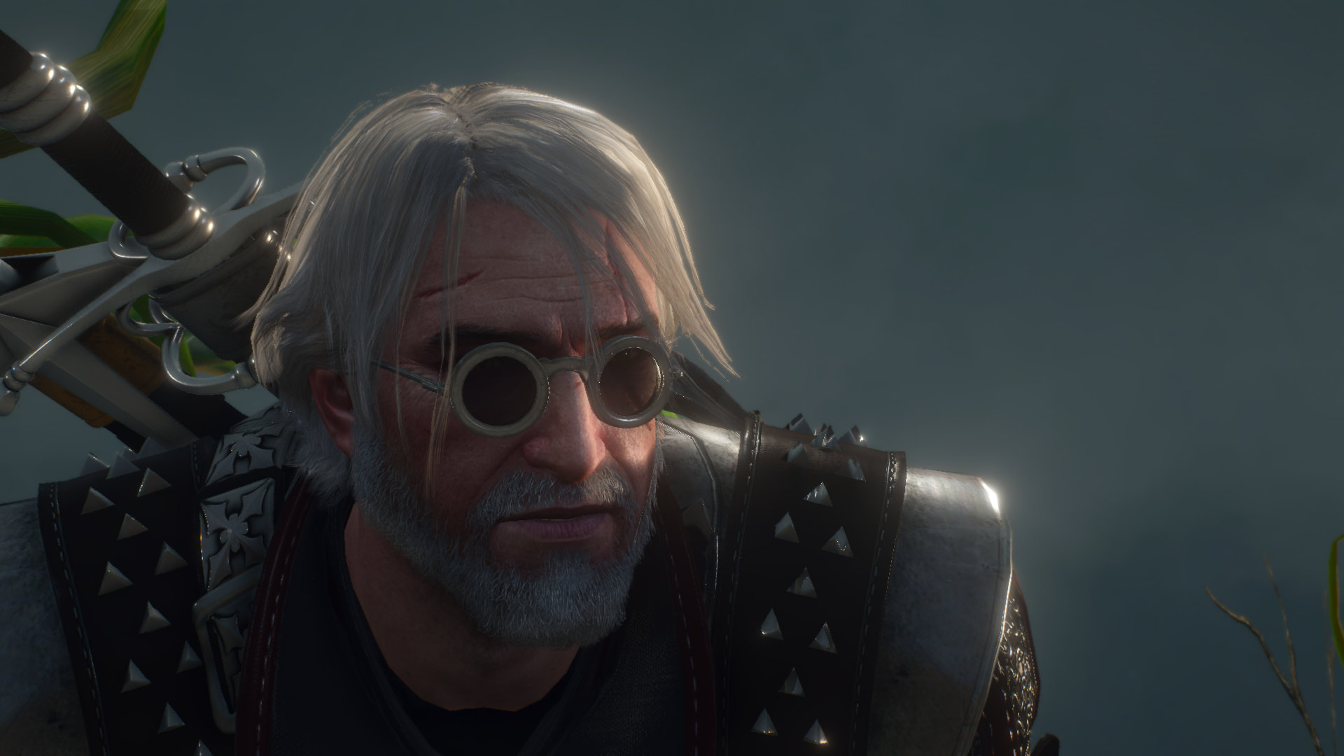Geralt Portrait Bohne